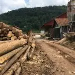 Rezana-gradja-i-prerada-drveta-bajina-basta-7-600x450-1.jpg